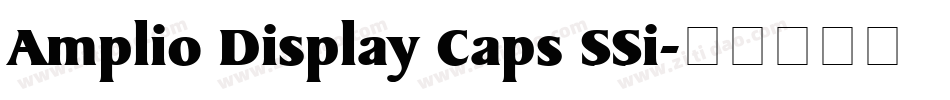Amplio Display Caps SSi字体转换